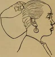 An illustration from An original and illustrated physiological and physiognomical chart (1873)