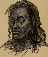 An illustration from An original and illustrated physiological and physiognomical chart (1873)