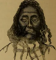 An illustration from An original and illustrated physiological and physiognomical chart (1873)
