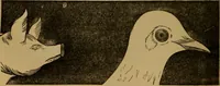 An illustration from An original and illustrated physiological and physiognomical chart (1873)