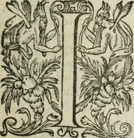 An illustration from Origines des chevaliers, armoiries et heraux, ensemble de l'ordonnance, armes, [et] instruments desquels les François ont anciennement usé en leurs guerres; recueillies (1606)