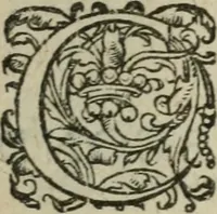 An illustration from Origines des chevaliers, armoiries et heraux, ensemble de l'ordonnance, armes, [et] instruments desquels les François ont anciennement usé en leurs guerres; recueillies (1606)
