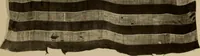 An illustration from The origin and evolution of the United States flag; (1915)