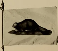 An illustration from The origin and evolution of the United States flag; (1915)
