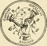 An illustration from Origin and history of the American flag and of the naval and yacht-club signals, seals and arms, and principal national songs of the United States, with a chronicle of the symbols, standards, banners, and flags of ancient and modern nations (1917)