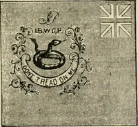 An illustration from Origin and history of the American flag and of the naval and yacht-club signals, seals and arms, and principal national songs of the United States, with a chronicle of the symbols, standards, banners, and flags of ancient and modern nations (1917)