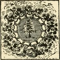 An illustration from Origin and history of the American flag and of the naval and yacht-club signals, seals and arms, and principal national songs of the United States, with a chronicle of the symbols, standards, banners, and flags of ancient and modern nations (1917)