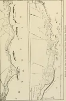 An illustration from Origin and history of the American flag and of the naval and yacht-club signals, seals and arms, and principal national songs of the United States, with a chronicle of the symbols, standards, banners, and flags of ancient and modern nations (1917)
