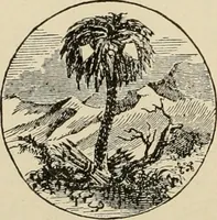 An illustration from Origin and history of the American flag and of the naval and yacht-club signals, seals and arms, and principal national songs of the United States, with a chronicle of the symbols, standards, banners, and flags of ancient and modern nations (1917)