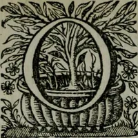 An illustration from Originum Gallicarum liber ... : Cui accedit antiquae linguae Britannicae lexicon Britannico-Latinum cum adjectis & insertis ejusdem authoris Adagiis Britannicis sapientiae veterum Druidum reliquiis, & aliis antiquitatis Britannicae Gallicaeque nonnnullis monumentis (1654)