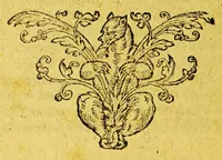 An illustration from Origo & historia belgicorum tumultuum. : Immanissimaeque crudelitatis per Cliviam & VVestphaliam patratae fidelissime conscripta & tabellis aeneis repraesentata: accedit Historia de furoribus gallicis. (1619)