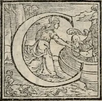 Picture 27 of 122 from Orlando furioso. / (1556), leaf 107