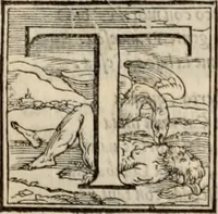 An illustration from Orlando furioso. / (1556)