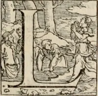 An illustration from Orlando furioso. / (1556)