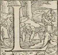 An illustration from Orlando furioso. / (1556)