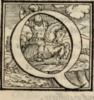 Picture 106 of 122 from Orlando furioso. / (1556), leaf 492
