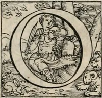 An illustration from Orlando furioso. / (1556)