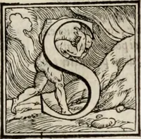 An illustration from Orlando furioso. / (1556)