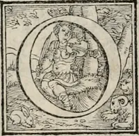An illustration from Orlando furioso. / (1556)