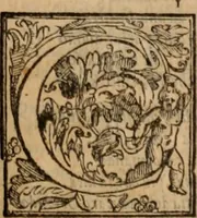 An illustration from Orlando furioso (1580)