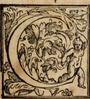 An illustration from Orlando furioso (1580)