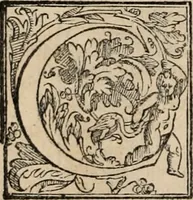 An illustration from Orlando furioso (1580)