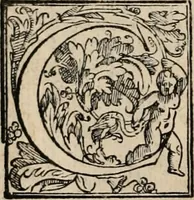 An illustration from Orlando furioso (1580)