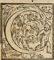 An illustration from Orlando furioso (1580)