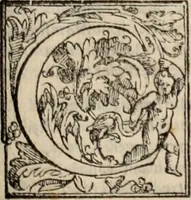 An illustration from Orlando furioso (1580)