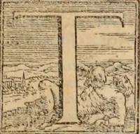 An illustration from Orlando furioso (1580)