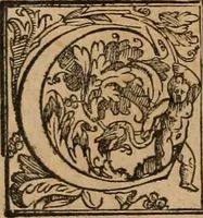 An illustration from Orlando furioso (1580)