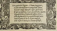 Picture 28 of 57 from Orlando furioso (1584), leaf 321