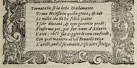 An illustration from Orlando furioso (1584)