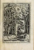 Picture 34 of 85 from Orlando furioso in English heroical verse (1634), leaf 169