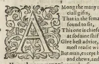 Picture 46 of 85 from Orlando furioso in English heroical verse (1634), leaf 239