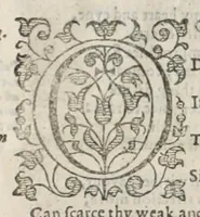 Picture 74 of 85 from Orlando furioso in English heroical verse (1634), leaf 383