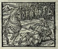 Picture 48 of 56 from Orlando fvrioso di M. Lodovico Ariosto : con gli argomenti in ottaua rima di M. Lodouico Dolce ; et con l'allegorie à ciascun canto di Thomaso Porcacchi da Castiglione Aretino, diligentemente corretto, & di nuoue figure adornato (1600), leaf 1008