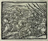 Picture 52 of 56 from Orlando fvrioso di M. Lodovico Ariosto : con gli argomenti in ottaua rima di M. Lodouico Dolce ; et con l'allegorie à ciascun canto di Thomaso Porcacchi da Castiglione Aretino, diligentemente corretto, & di nuoue figure adornato (1600), leaf 1066