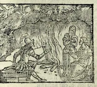 Picture 10 of 56 from Orlando fvrioso di M. Lodovico Ariosto : con gli argomenti in ottaua rima di M. Lodouico Dolce ; et con l'allegorie à ciascun canto di Thomaso Porcacchi da Castiglione Aretino, diligentemente corretto, & di nuoue figure adornato (1600), leaf 225