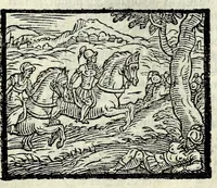 Picture 21 of 56 from Orlando fvrioso di M. Lodovico Ariosto : con gli argomenti in ottaua rima di M. Lodouico Dolce ; et con l'allegorie à ciascun canto di Thomaso Porcacchi da Castiglione Aretino, diligentemente corretto, & di nuoue figure adornato (1600), leaf 453