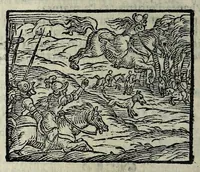 Picture 26 of 56 from Orlando fvrioso di M. Lodovico Ariosto : con gli argomenti in ottaua rima di M. Lodouico Dolce ; et con l'allegorie à ciascun canto di Thomaso Porcacchi da Castiglione Aretino, diligentemente corretto, & di nuoue figure adornato (1600), leaf 548