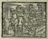 Picture 28 of 56 from Orlando fvrioso di M. Lodovico Ariosto : con gli argomenti in ottaua rima di M. Lodouico Dolce ; et con l'allegorie à ciascun canto di Thomaso Porcacchi da Castiglione Aretino, diligentemente corretto, & di nuoue figure adornato (1600), leaf 606