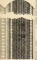 An illustration from Ornamental design, embracing The Anatomy of pattern : The planning of ornament; The application of ornament (1888)