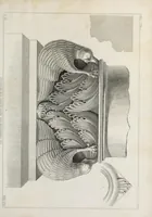 An illustration from Ornamentik des Mittelalters (1838)