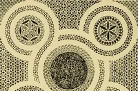Picture 107 of 274 from Ornament & its application; a book for students, treating in a practical way of the relation of design to material, tools and methods of work (1904), leaf 157