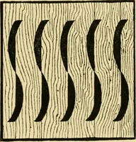 An illustration from Ornament & its application; a book for students, treating in a practical way of the relation of design to material, tools and methods of work (1904)