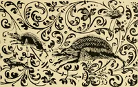 An illustration from Ornament & its application; a book for students, treating in a practical way of the relation of design to material, tools and methods of work (1904)