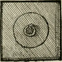 Picture 184 of 238 from Ornatvs ecclesiasticvs, hoc est, Compendivm praecipvarvm rervm, qvibvs qvaevis rite decenterqve compositae ecclesiae exornari, ac redimiri debent : omnibus ecclesiarum praelatis & rectoribus, per totam Ratisbonensem Dioecesin cum primis necessarium, Latinè & Germanicè, adiectis etiam quarundam suppellectilium figuris (1591), leaf 303