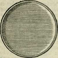 An illustration from Ornatvs ecclesiasticvs, hoc est, Compendivm praecipvarvm rervm, qvibvs qvaevis rite decenterqve compositae ecclesiae exornari, ac redimiri debent : omnibus ecclesiarum praelatis & rectoribus, per totam Ratisbonensem Dioecesin cum primis necessarium, Latinè & Germanicè, adiectis etiam quarundam suppellectilium figuris (1591)