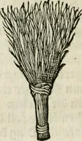An illustration from Ornatvs ecclesiasticvs, hoc est, Compendivm praecipvarvm rervm, qvibvs qvaevis rite decenterqve compositae ecclesiae exornari, ac redimiri debent : omnibus ecclesiarum praelatis & rectoribus, per totam Ratisbonensem Dioecesin cum primis necessarium, Latinè & Germanicè, adiectis etiam quarundam suppellectilium figuris (1591)
